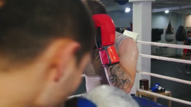 Box training - twee bezwete mannen die vechten op de boksring - drijft een man in een hoek van de ring - Video