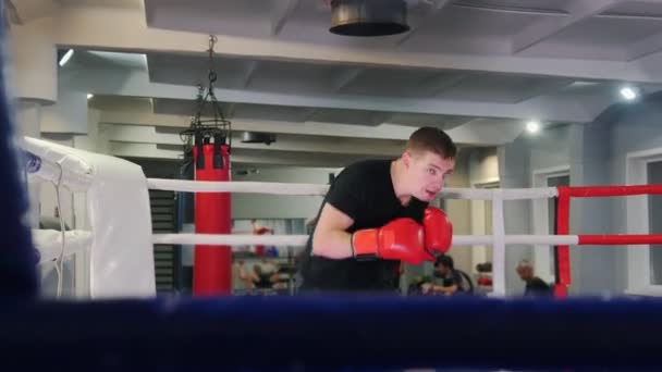 ボックストレーニング-影のボクシングを実行する男 - 映像、動画