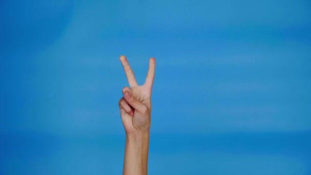 Vrouwelijke hand tellen van 1 tot 5 op blauwe achtergrond met kopieerruimte. Vrouw toont een, twee, drie, vier dan vijf vingers. Gemanicuurde nagels geschilderd met roze polish. Wiskunde concept. Hand van tiener meisje 4k - Video