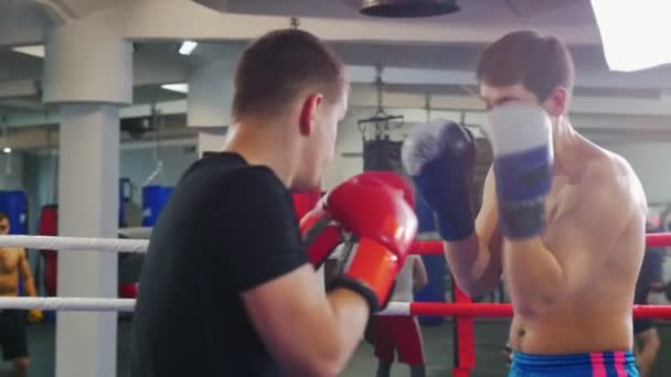 Box trénink v tělocvičně - dva muži mají agresivní boj na boxerském ringu - jeden z mužů v černém tričku - Záběry, video