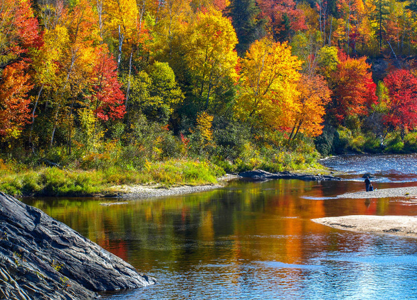 Zlatá a červená odrážející se od pomalu se klikatící řeky, Chutes Prov Park, On, Kanada - Fotografie, Obrázek