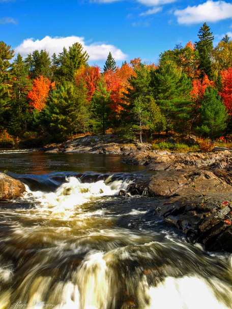 Skály a podzimní listí vyřezávat umělecký pohled, Padáky Prov Park, On, Kanada - Fotografie, Obrázek