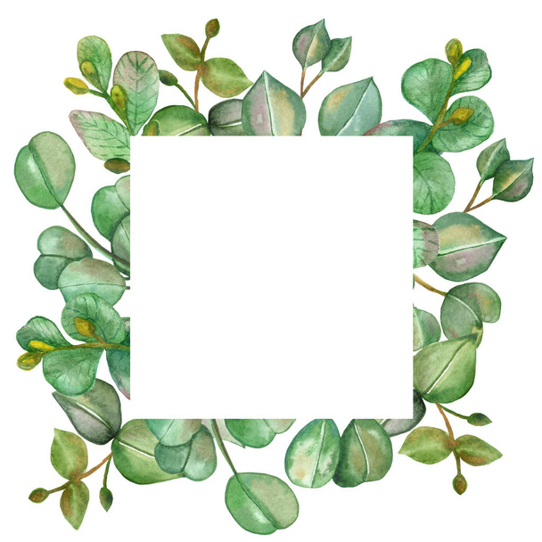 Watercolor hand painted nature squared plants frame with green eucalyptus leaves and branches bouquet on the white background for invitations and greeting cards with the space for text - Фото, зображення