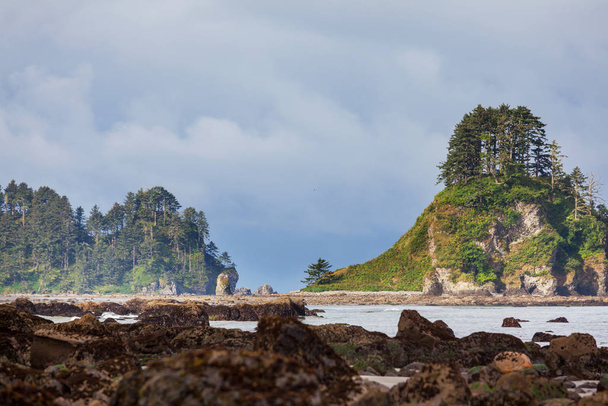 Landschaftliche und strenge Pazifikküste im Olympic National Park, Washington, USA. Felsen im Meer und große Baumstämme am Strand. - Foto, Bild