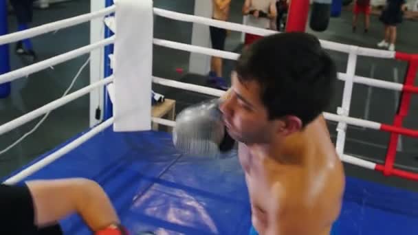 Бокс в приміщенні: двоє чоловіків пройшли тренувальний бій на боксерському кільці атака і захист
 - Кадри, відео