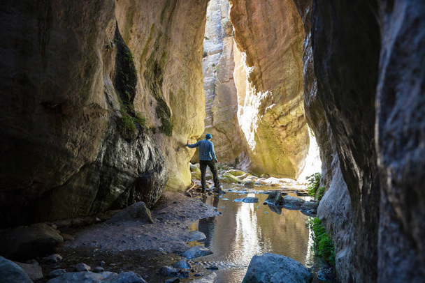 Avakas Vadisi 'nde bir turist. Paphos Bölgesi, Kıbrıs. Sounh Kıbrıs 'taki ünlü küçük kanyon. - Fotoğraf, Görsel
