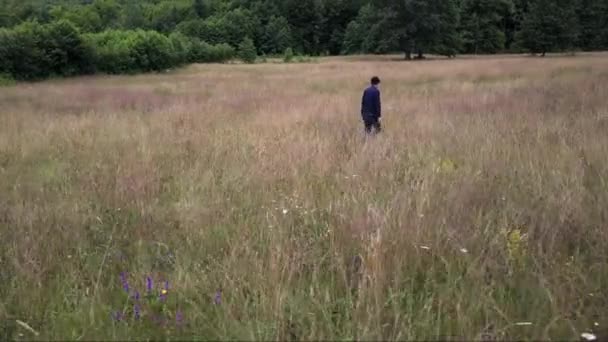 Man goes through field of the grass, shoot from drone - Imágenes, Vídeo
