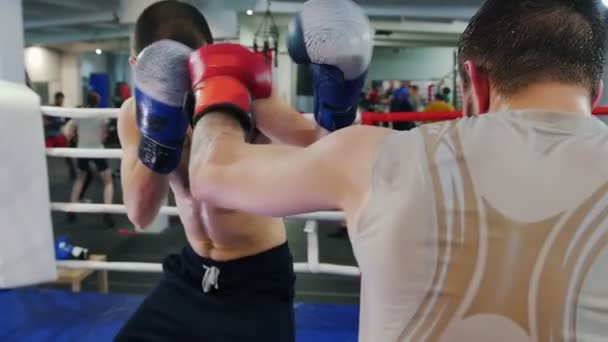 Boks wewnątrz - dwóch mężczyzn walczących na ringu bokserskim - atakują i chronią - Materiał filmowy, wideo