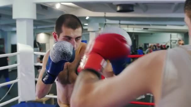 Boks wewnątrz - dwóch spoconych mężczyzn agresywnie walczących na ringu bokserskim - atakują i chronią - Materiał filmowy, wideo