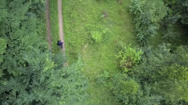 El hombre atraviesa el camino del bosque, dispara desde el dron
 - Metraje, vídeo