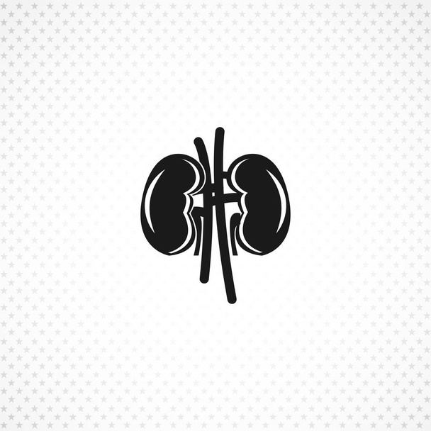 Kidneys vector icon on white background - Vector, Image