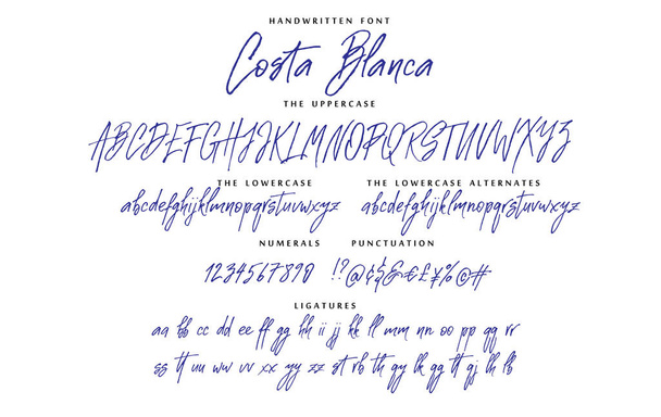 Ručně psaná písmo vektorová abeceda Costa Blanca nastavena - Vektor, obrázek