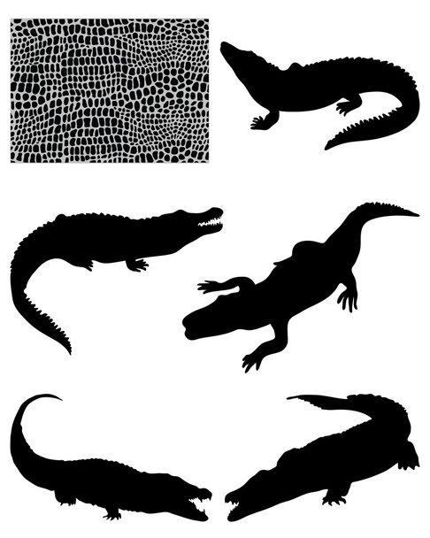krokodilok - Vektor, kép