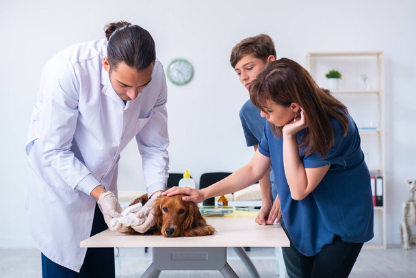 Veterinární lékař vyšetřuje zlatého retrívra psa na klinice - Fotografie, Obrázek