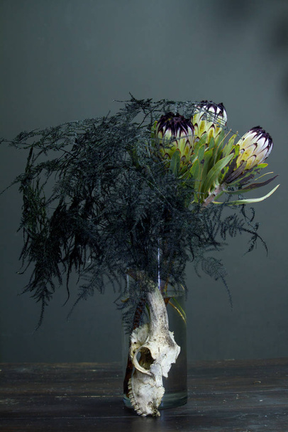 Natura morta con un bouquet di protea e un cranio di capra su uno sfondo scuro, messa a fuoco selettiva
 - Foto, immagini
