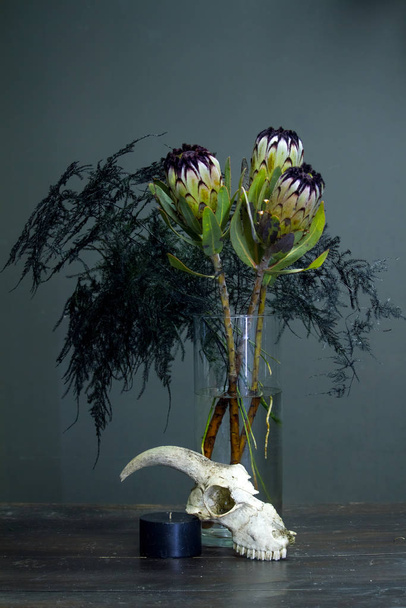 Still life with a bouquet of protea, black candle and a goat skull on a dark background, selective focus - Photo, Image