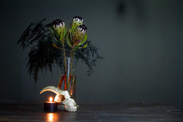 Still life with a bouquet of protea, black burning candle and a goat skull on a dark background, selective focus - Photo, Image