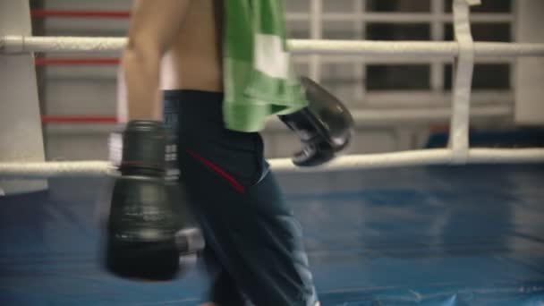 Trening bokserski - zmęczony człowiek siedzi na rogu ringu z ręcznikiem na ramionach - Materiał filmowy, wideo