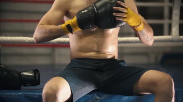 Trening bokserski - wytatuowany mężczyzna siedzący na ringu i zakładający rękawice bojowe - Materiał filmowy, wideo