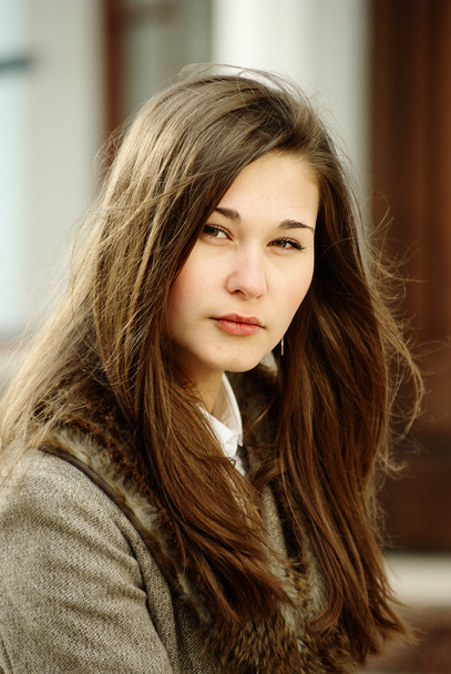 Beautiful brown hair girl portrait - Fotografie, Obrázek