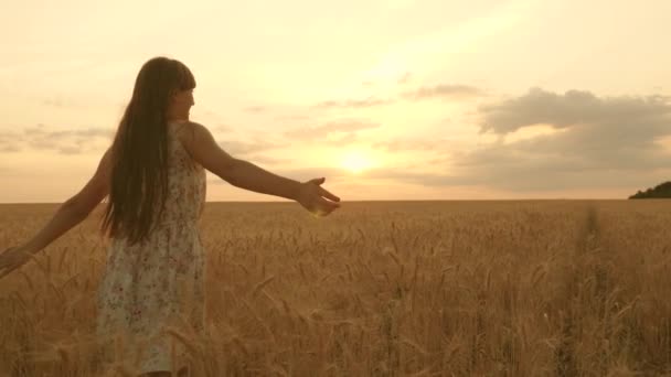 Mooie vrije vrouw genieten van de natuur in warme zon in een tarweveld op een zonsondergang achtergrond. Meisje reist. gelukkig jong meisje loopt in slow motion over veld, aanraken oren van tarwe met haar hand. - Video