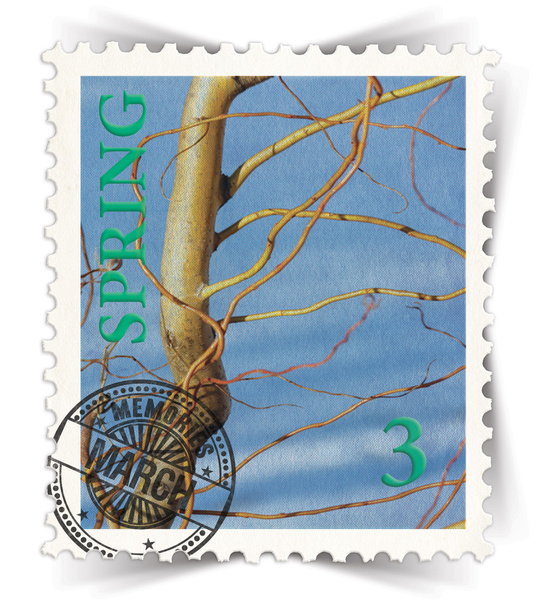 Címke a különböző friss biotermékek hirdetések stilizált utáni bélyegző - Fotó, kép