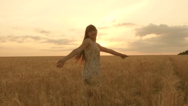 Mulher livre bonita, dança ao sol quente em um campo de trigo em um fundo de pôr do sol. A rapariga viaja. menina feliz girando em dança em câmera lenta em um campo, tocando as orelhas da mão de trigo
. - Filmagem, Vídeo