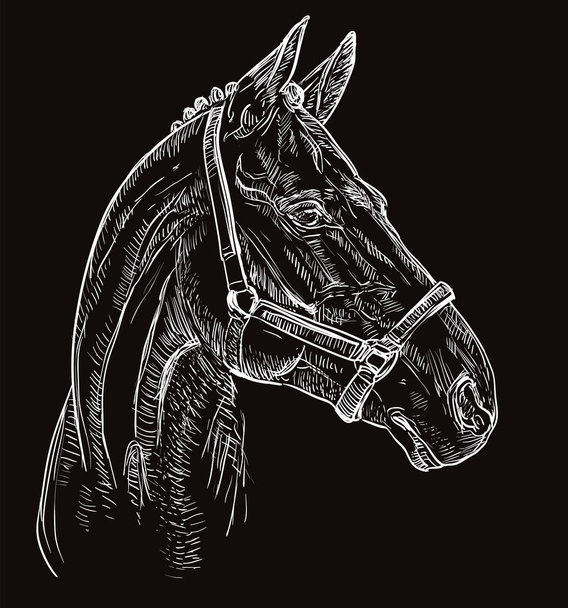 Портрет коня чорний 27
 - Вектор, зображення