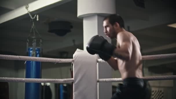 Box koulutus - mies koulutusta kuntosalilla - varjo taistelevat nyrkkeily kehässä
 - Materiaali, video