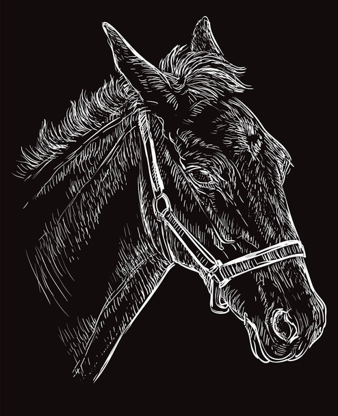 Μαύρο πορτραίτο αλόγου 26 - Διάνυσμα, εικόνα