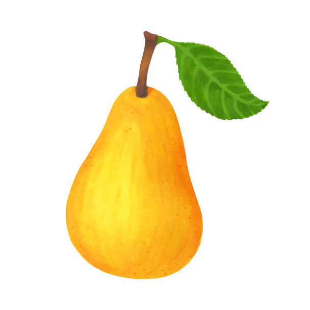 realistic yellow pear isolated on white background. Vector illustration - Vector, Image