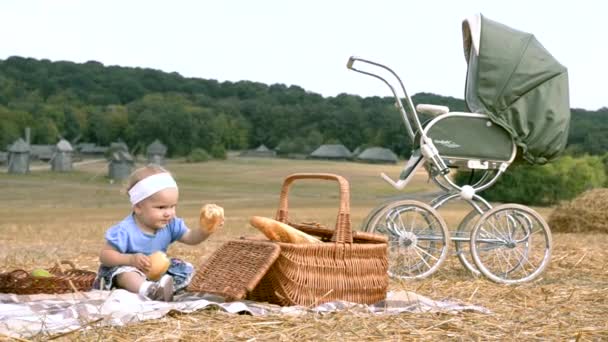 malá holka na piknik - Záběry, video