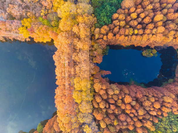 Αεροφωτογραφία τοπίο της Tingtao Γραφική περιοχή στην Ανατολική Λίμνη, Wuhan, Hubei στα τέλη του φθινοπώρου - Φωτογραφία, εικόνα