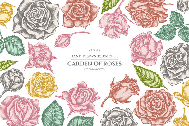 Цветочный дизайн с пастельными розами - Вектор,изображение