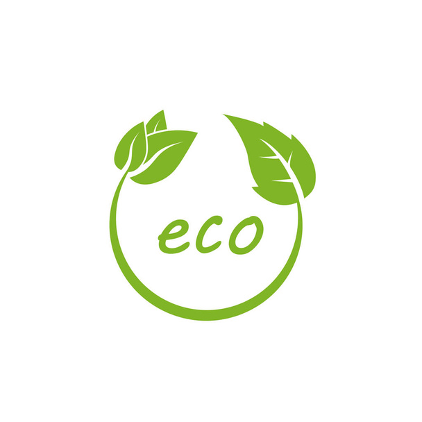 Green leaf, Eco icon Vector illustration, flat design - Vektor, kép