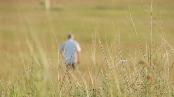 maschio agricoltore camminare sul campo - Filmati, video
