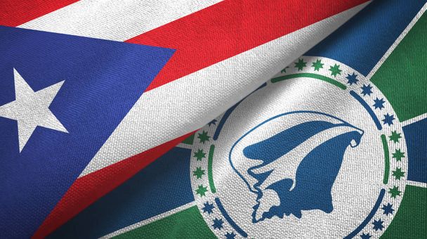Puerto Rico en Martinique twee vlaggen textiel doek, stof textuur - Foto, afbeelding