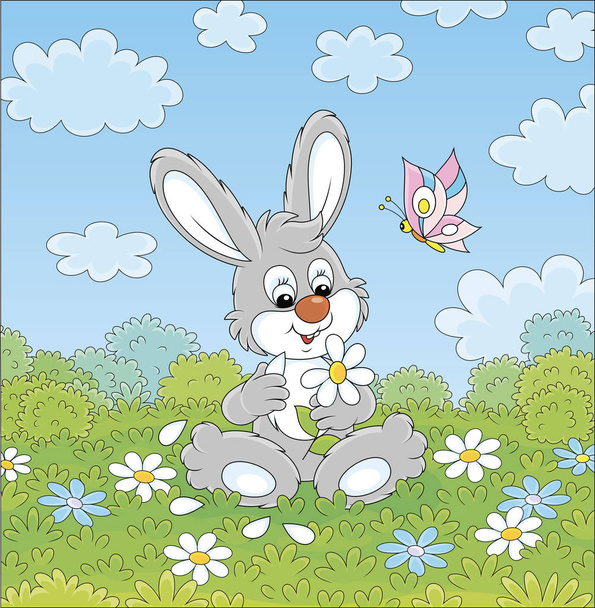 Loving little grey bunny and a colorful butterfly dreaming and telling fortunes with a white daisy on green grass of a summer field on a beautiful sunny day, vector cartoon illustration - Vector, afbeelding