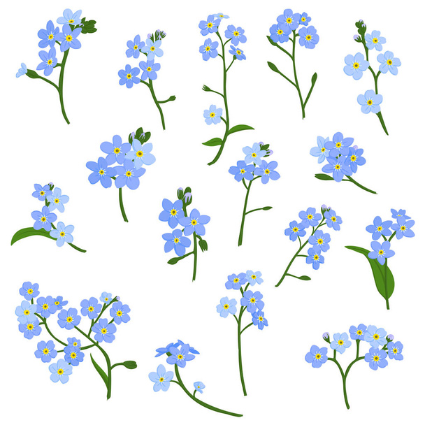 vector drawing forget-me-not flowers - Vector, Image