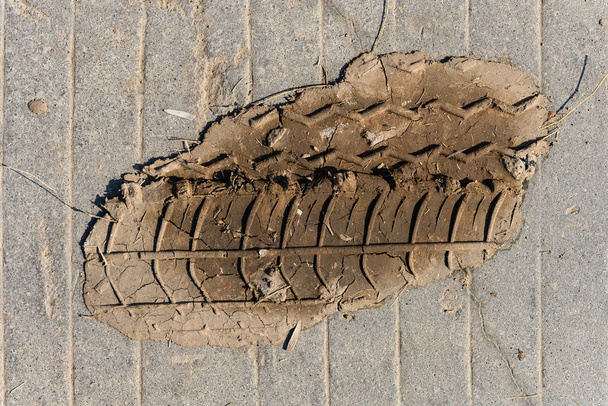 kus suché půdy se značkou pneumatiky na zemi - Fotografie, Obrázek