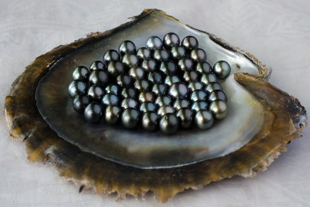 Černá perla - Fotografie, Obrázek