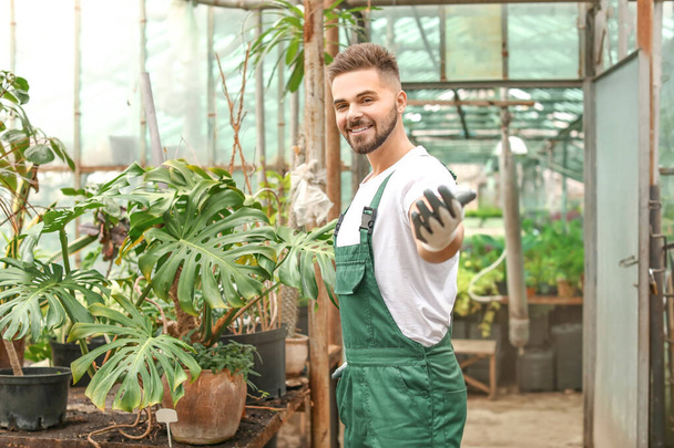 Handsome male gardener in greenhouse - Photo, Image