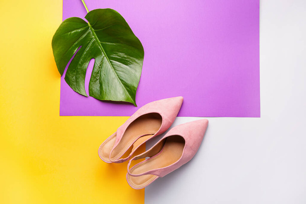 Stylish female shoes and tropical leaf on color background - 写真・画像