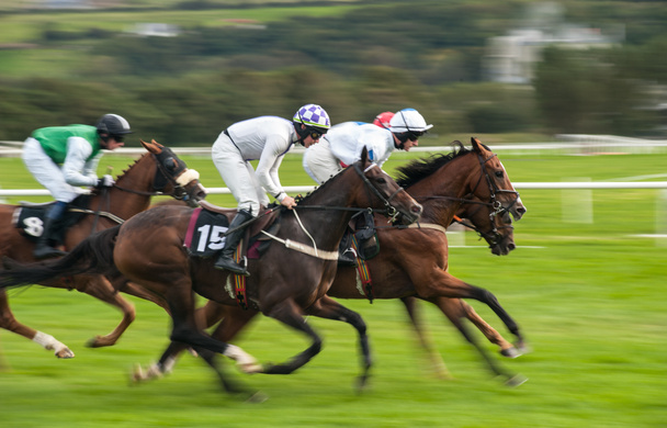 Velocidad de carreras de caballos
 - Foto, imagen