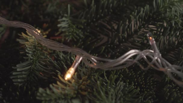 Guirnalda de Navidad parpadea y se apila en una rama de abeto verde fresco. En Nochevieja
 - Imágenes, Vídeo