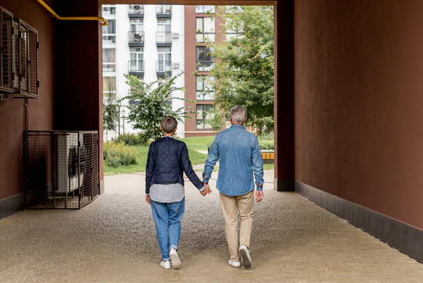 zpět pohled na dospělé muže a ženu držící se za ruce a kráčející v blízkosti nových domů  - Fotografie, Obrázek