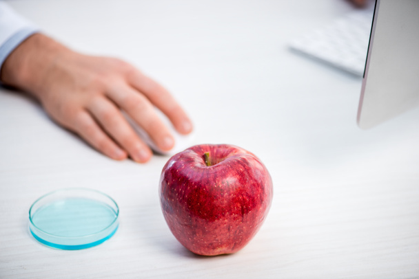 selectieve focus van rijpe en verse appel op tafel en moleculaire voedingsdeskundige op achtergrond  - Foto, afbeelding
