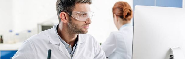 panoramic shot of molecular nutritionist using computer in lab  - Photo, Image