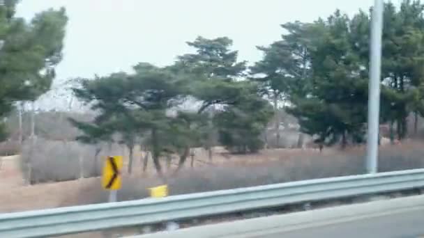 Проезд на машине через зону чистоты в Южной Корее
 - Кадры, видео