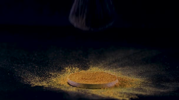 makeup artists fluffy brush pokes into a palette of shadows, dipping into a rich gold color. - Séquence, vidéo